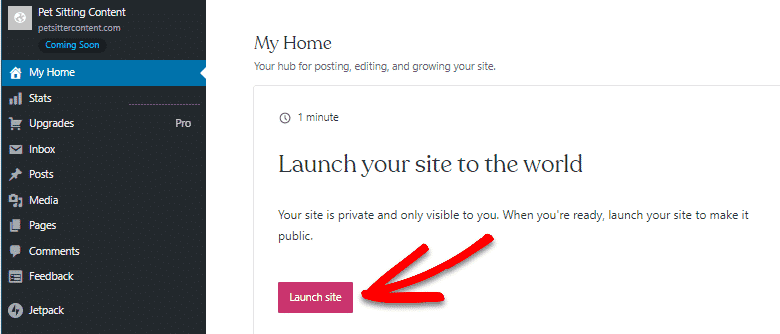 launch your wordpress website